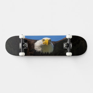 Skate Águia Americana Voando Perto