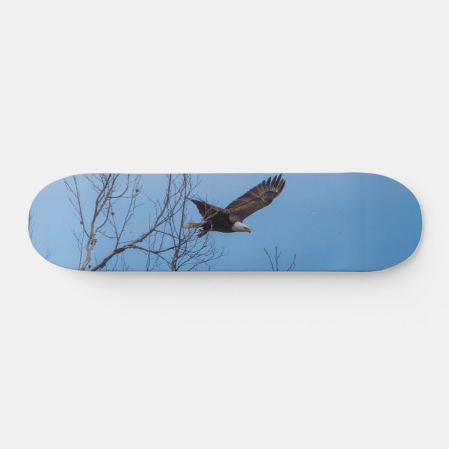 Skate Águia No Quadro De Voo (Horz)