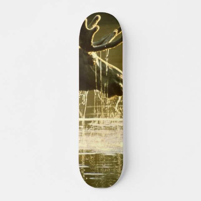 Skate Alce Dando A Cabeça Na Água (Frente)