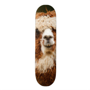 Skate Alpaca