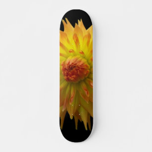Skate amarelo da flor