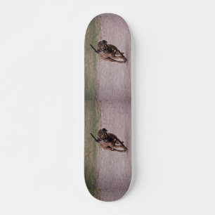 Skate Amstaff em execução