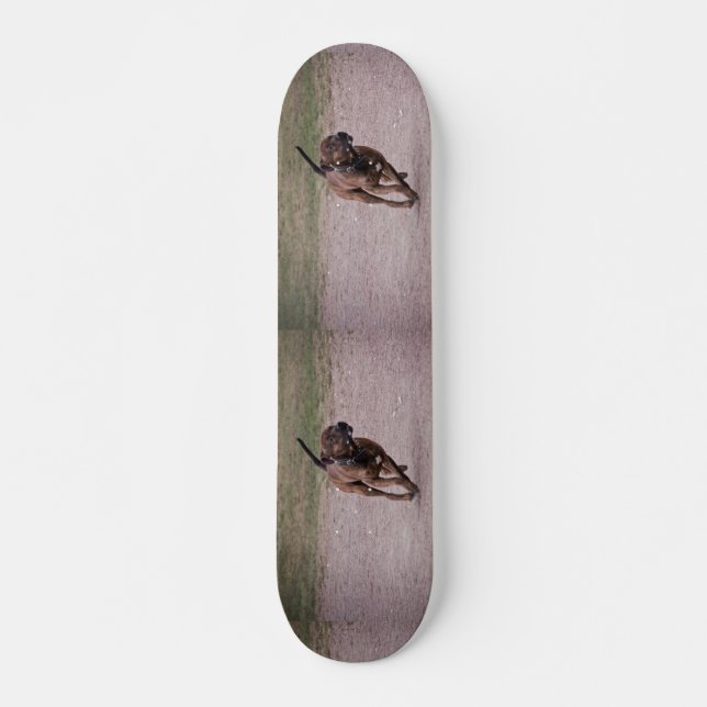 Skate Amstaff em execução (Frente)