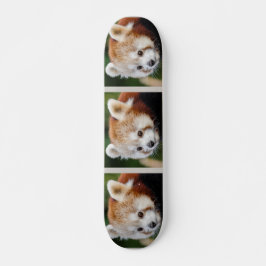 Skate Animal Fofo Panda Vermelho