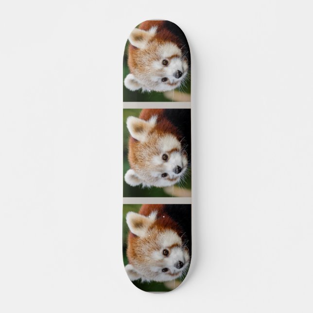 Skate Animal Fofo Panda Vermelho (Frente)