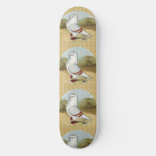 Skate Antiga Coruja Alemã Na Ronda