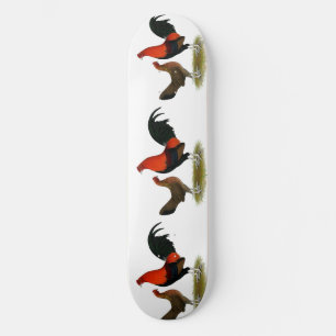 Skate Antigos Bantams de Jogo Inglês: BB Red Pair
