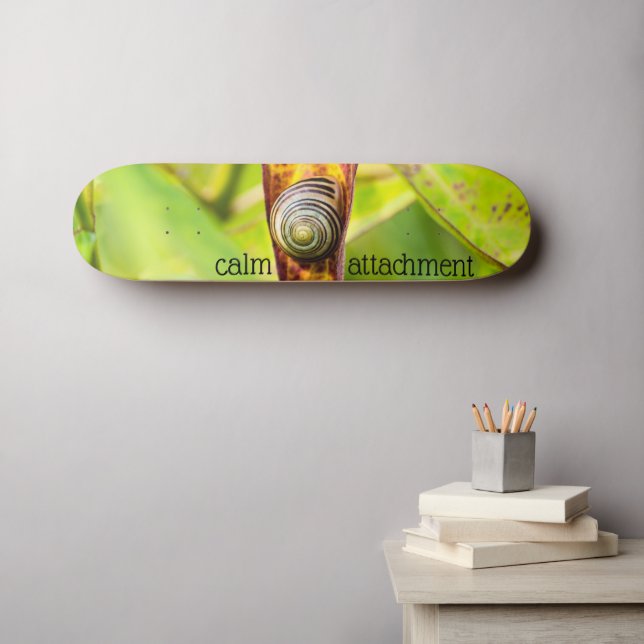 Skate apego calmo (Arte de parede (Horz))