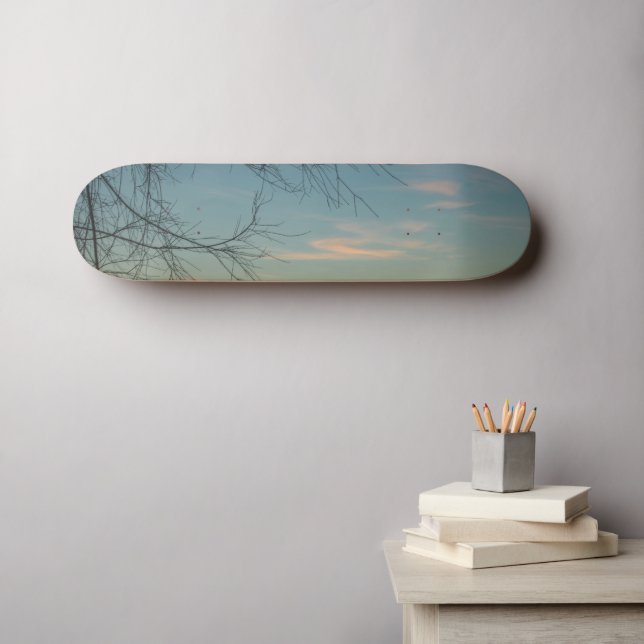 Skate Ar e facilidade (Arte de parede (Horz))
