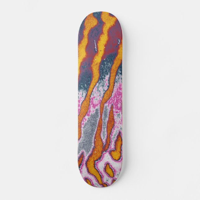 Skate Art. 4.o peles de animais (Frente)