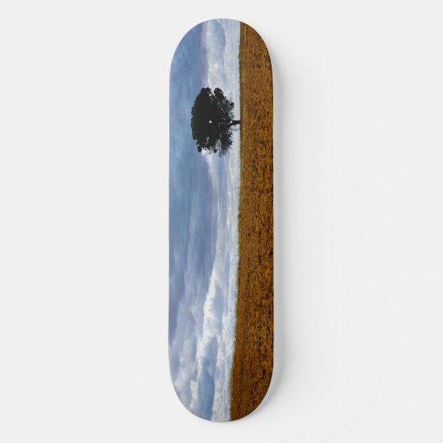 Skate Árvore em um campo vazio (Frente)
