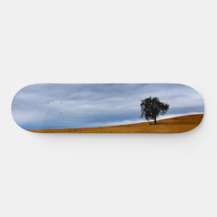Skate Árvore num campo de trigo