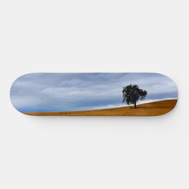 Skate Árvore num campo de trigo (Horz)