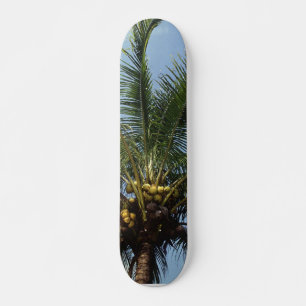 Skate Árvore Palm de Coco
