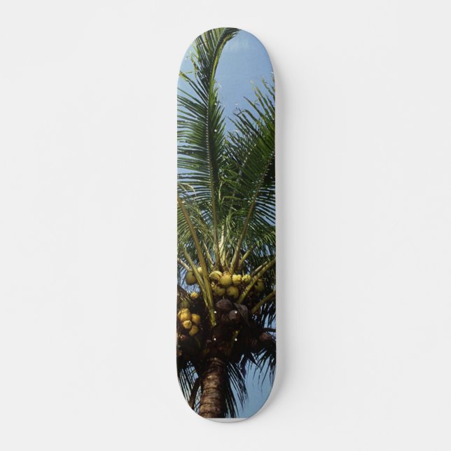 Skate Árvore Palm de Coco (Frente)