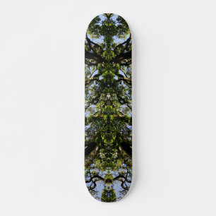 Skate Árvores de imagens espelhadas