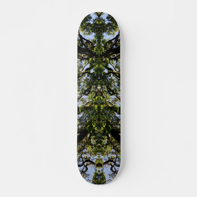 Skate Árvores de imagens espelhadas (Frente)