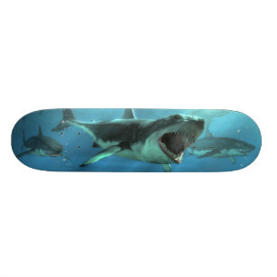 Skate Ataque do tubarão