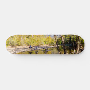 Skate Atravessando O Rio Buffalo