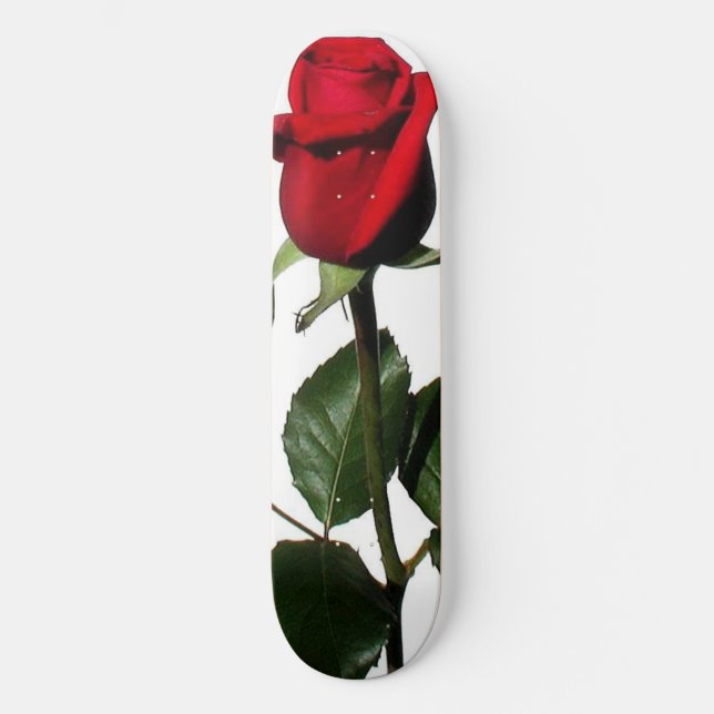 SKATE AUMENTOU (Frente)