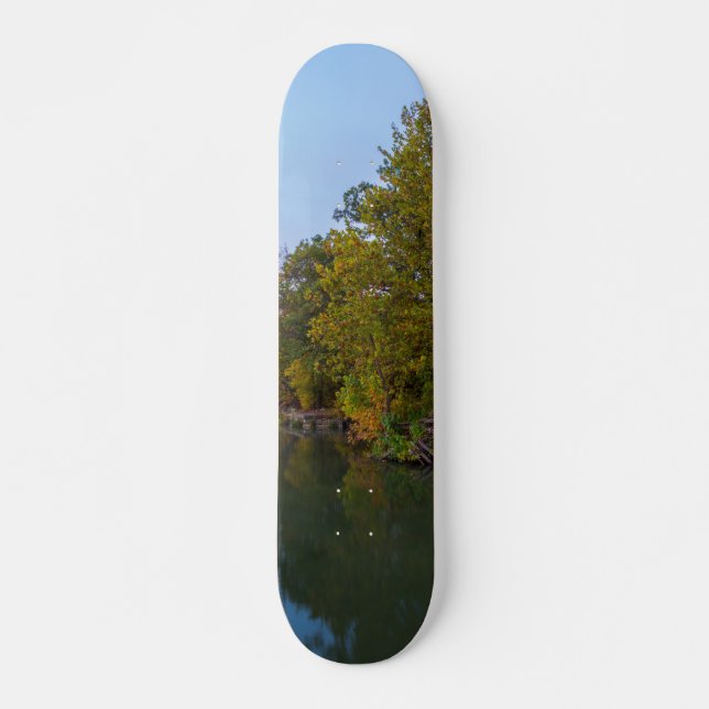 Skate Autumn Morning Lake Springfield (Frente)
