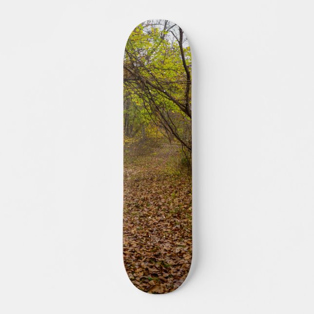 Skate Autumn Walkway (Frente)