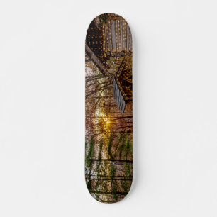Skate Autumn Woods Sunset