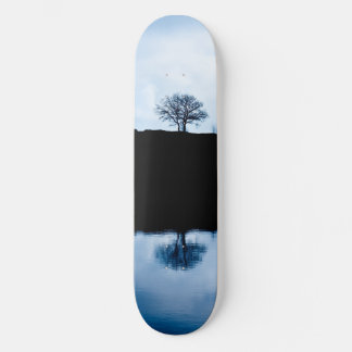 skate azul