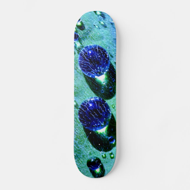 Skate Azul Raindrosóis Água Pérolas Macro Engraçado Foto (Frente)