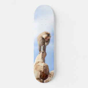 Skate Babuíno no topo de uma montanha