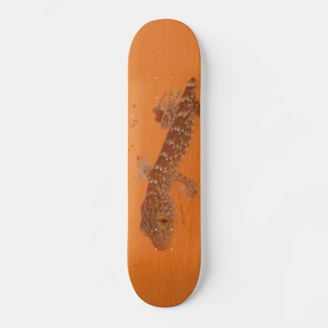 Skate Baby Tokay Gecko (Frente)