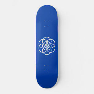Skate Bandeira Internacional do Planeta Terra