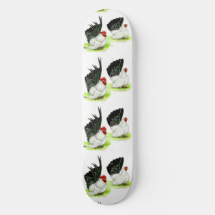 Skate Bantams brancos pretos japoneses