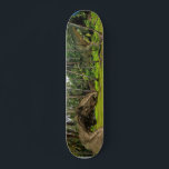 Skate Batalha de Fantasy T-Rex Tyrannosaurus Dragon<br><div class="desc">Este design pode ser personalizado escolhendo a opção personalizar para adicionar texto ou fazer outras alterações. Se este produto tiver a opção de transferir o design para outro item, certifique-se de ajustar o design para o ajustado, se necessário. Entre em contato comigo em colorflowcreations@gmail.com se desejar usar este design em...</div>