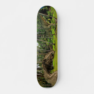 Skate Batalha de Fantasy T-Rex Tyrannosaurus Dragon