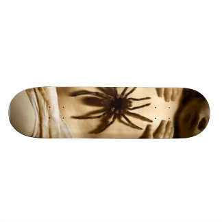 Skate Bebê da aranha