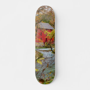 Skate Beco Através Da Floresta