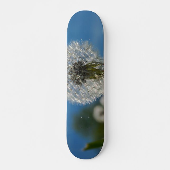 Skate Beleza De Um Dandelion (Frente)