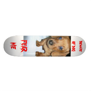 Skate beware do cão