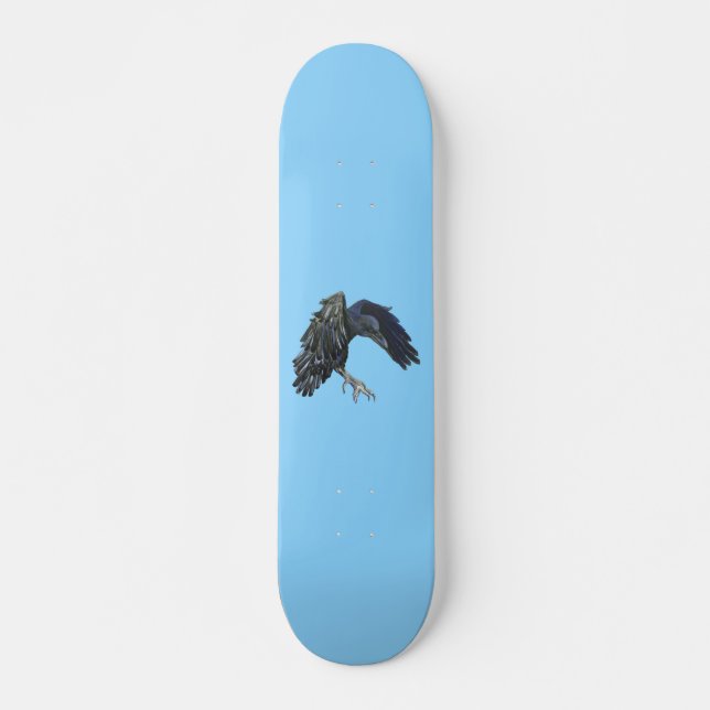 Skate Black Crow Master of Time Illustration Sky Blue (Frente)