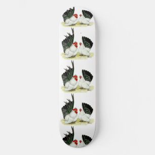 Skate Blacktail Bantams Japonês
