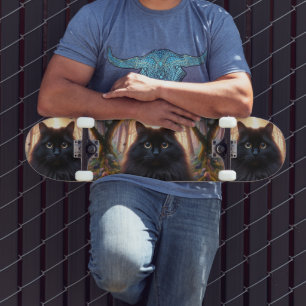 Skate Bonito gato preto fluffy com olhos Dourados