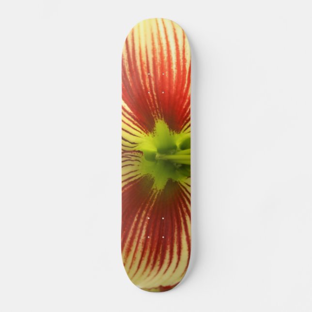 Skate Borboleta Amaryllis (Frente)