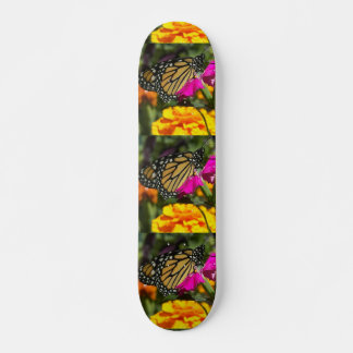 Skate Borboleta-de-monarca em patinagem-de-marigold-rosa