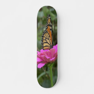 Skate Borboleta Monarca em uma Bonito Flor Rosa