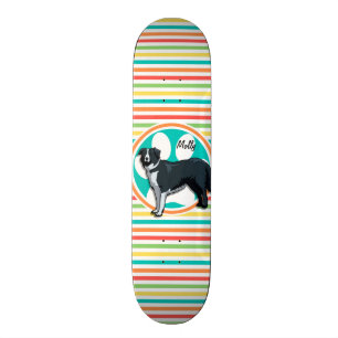 Skate Borda Collie; Bright Rainbow Stripes