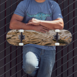 Skate Budir Beach, Islândia