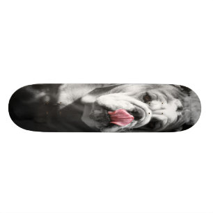 Skate buldogue inglês