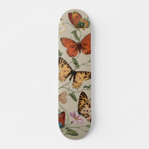Skate Butterfly Moth Nature Desenho aquarela antiga
