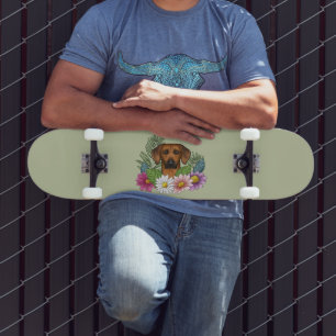 Skate Cabeça de Ridgeback da Rodésia Colorida Flores em 